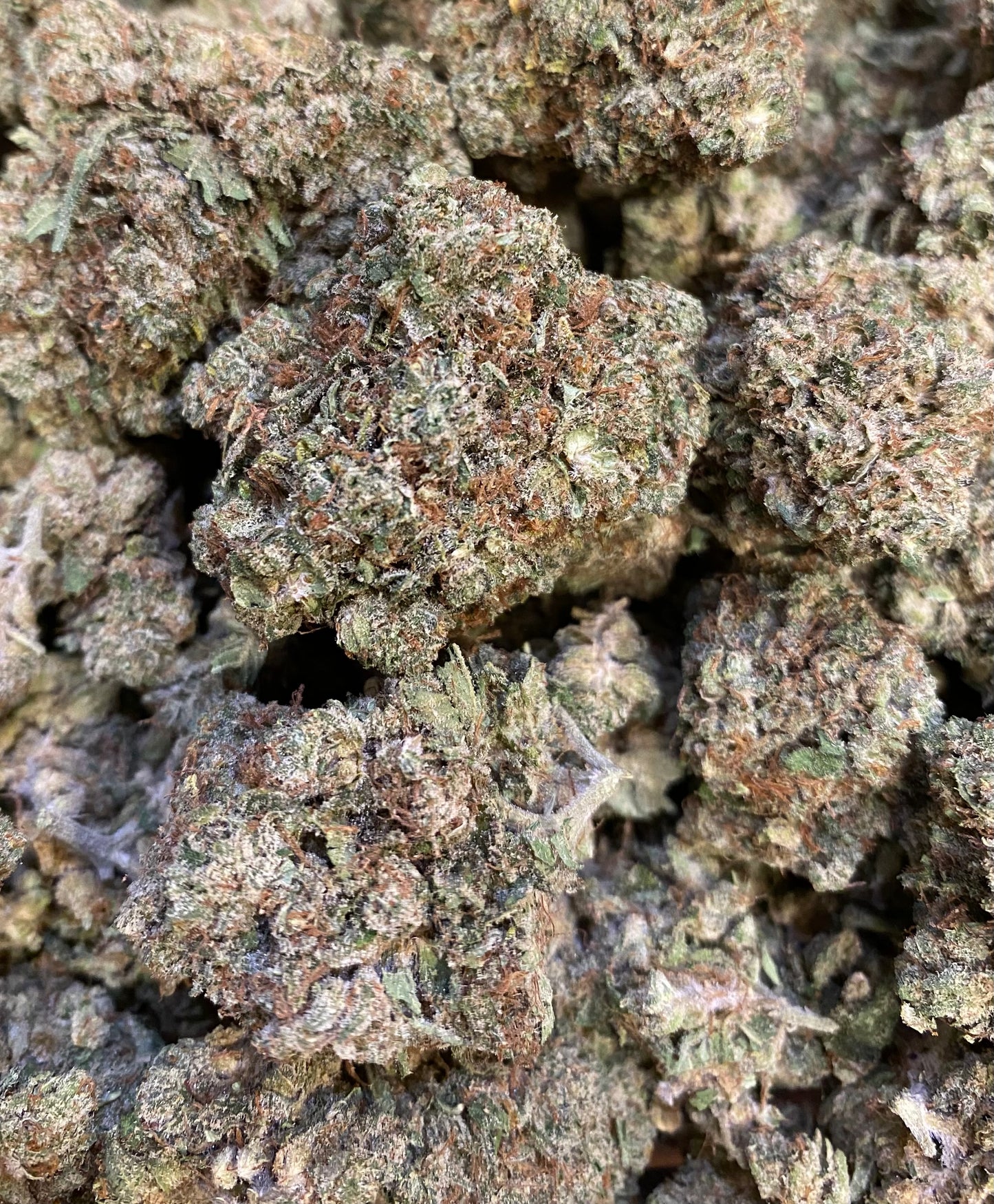 AK-47 CBD - Salvia la pépite verte