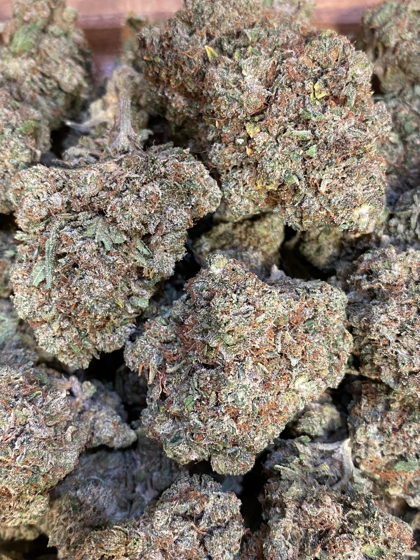 AK-47 CBD - Salvia la pépite verte