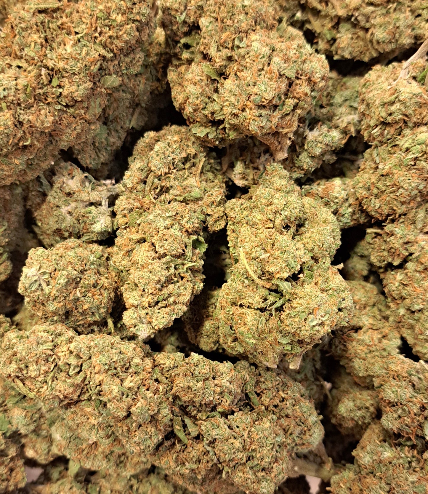 Banana Cream - Premium - Salvia la pépite verte
