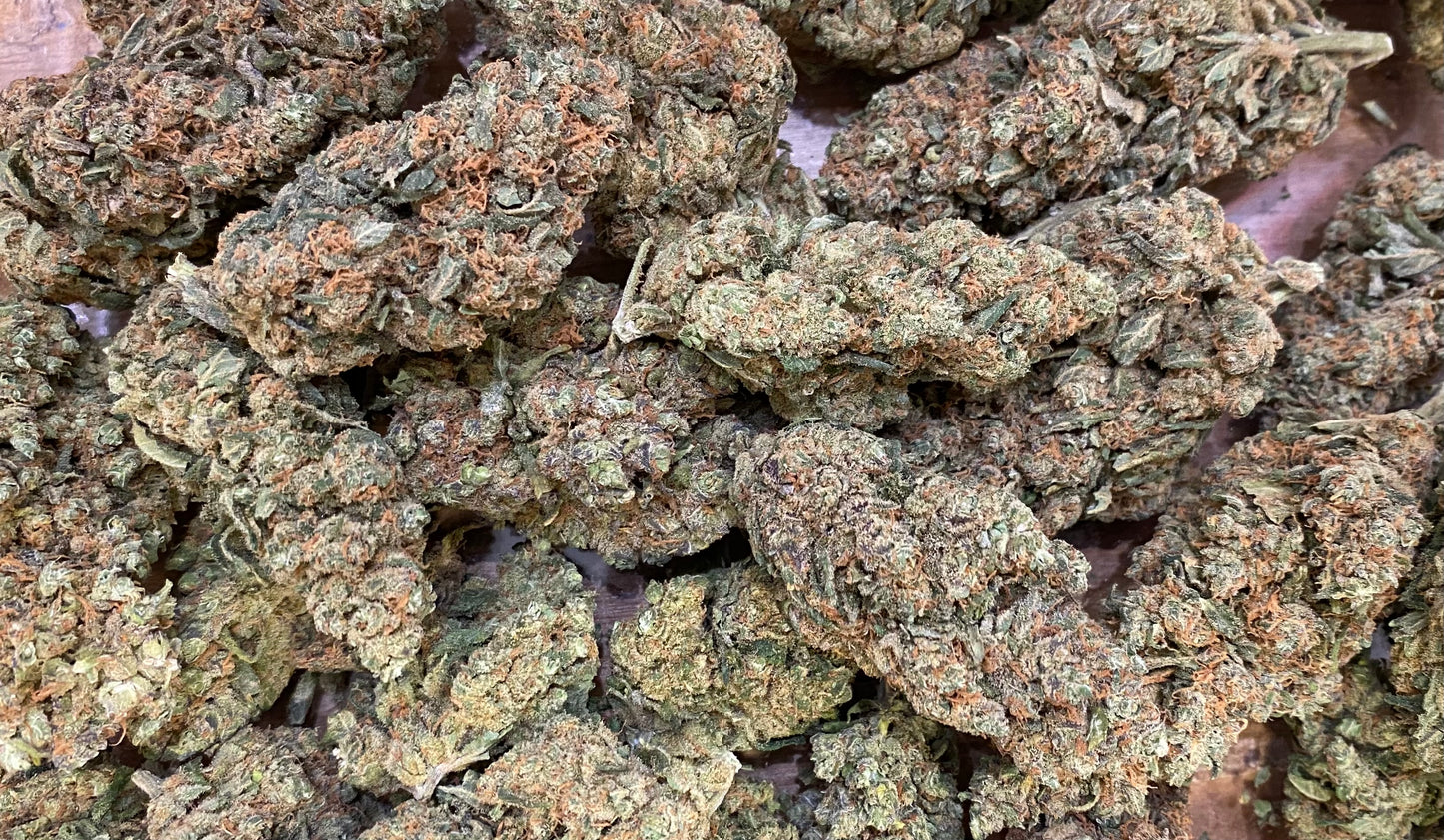 CBD Moby Dick - Salvia la pépite verte