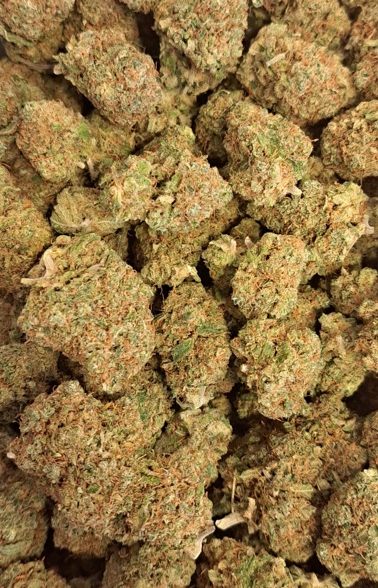 Cali Sour - Premium | NOUVEAUTÉ 🔥