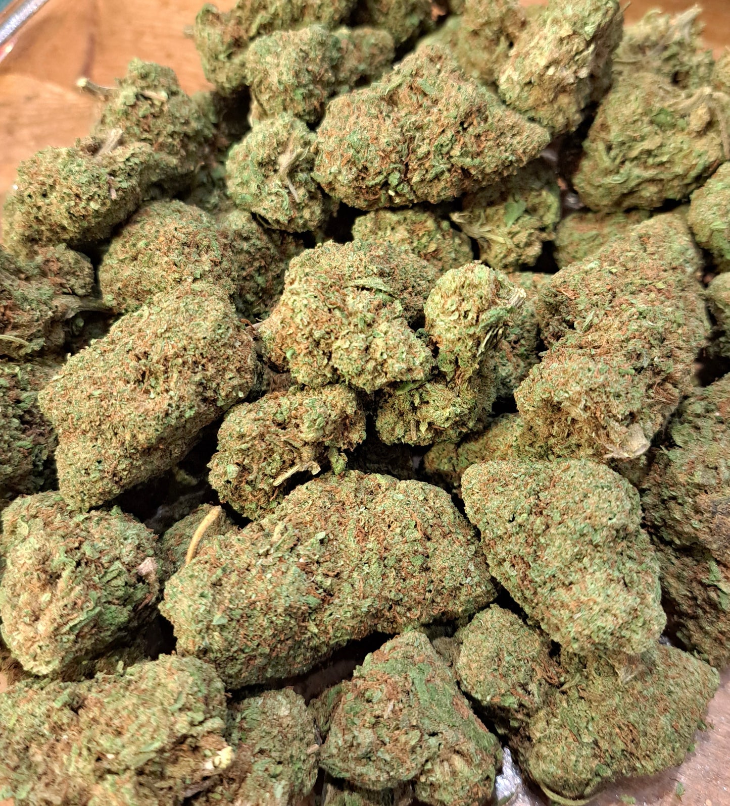 Cali Mango - Salvia la pepite verte