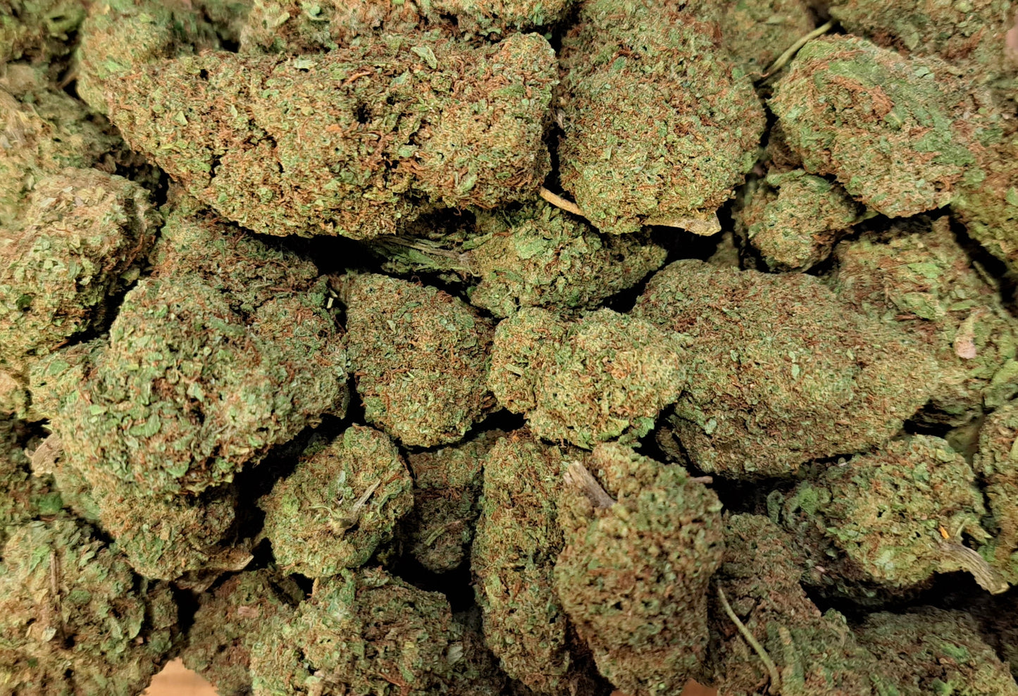 Cali Mango - Salvia la pepite verte