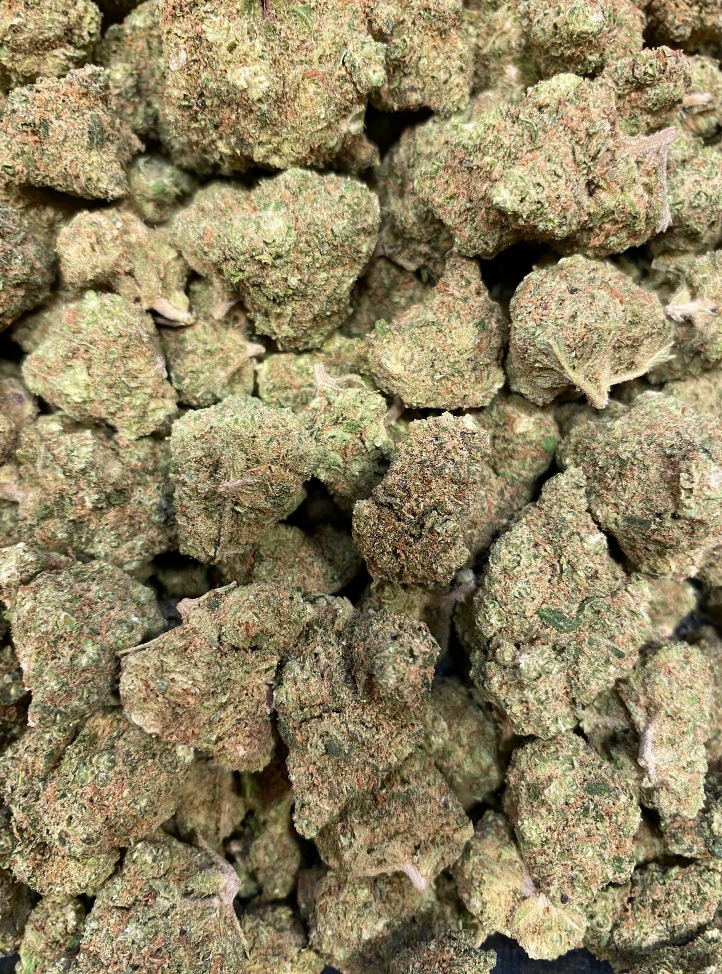 Cali pineapple CBD - Salvialapepiteverte