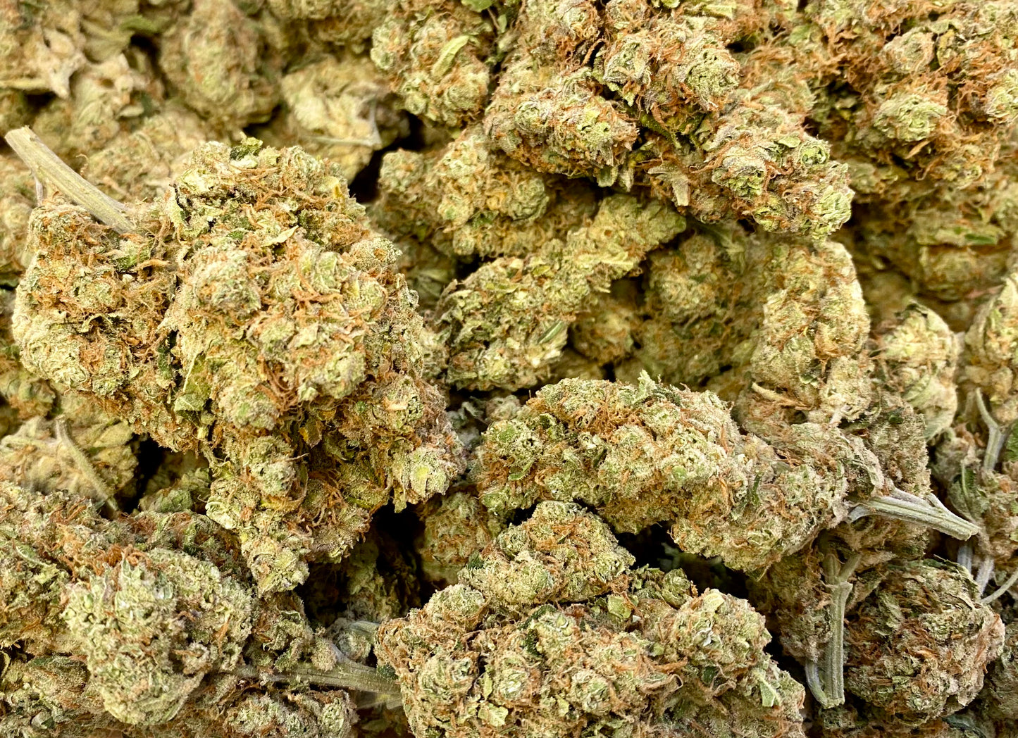 Lemon Ice CBD - Salvia la pépite verte