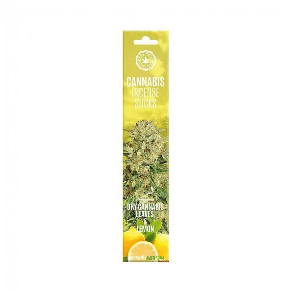 Encens cannabis et citron - Salvia la pepite verte