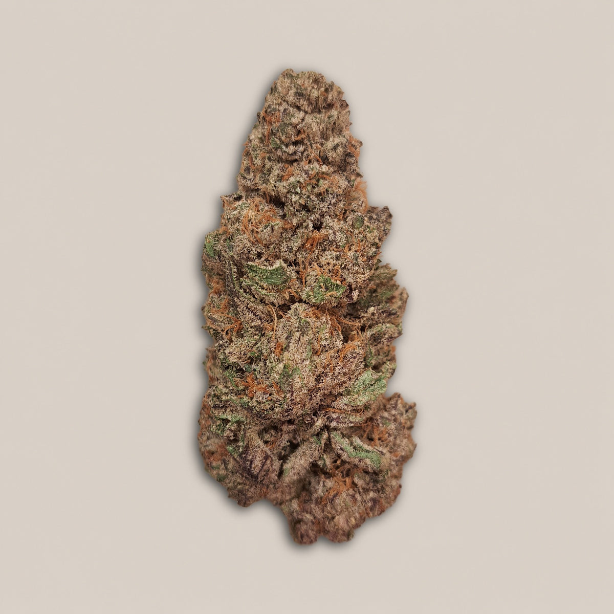 Jelly Crime - Premium - Salvia la pépite verte