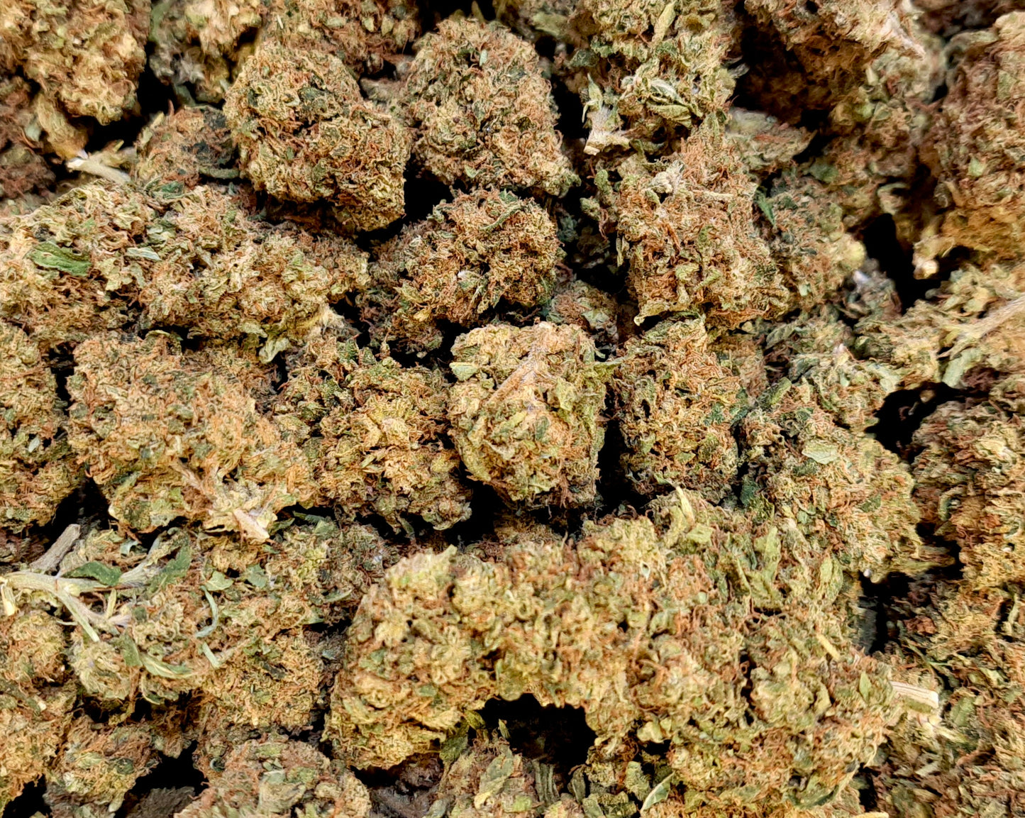 London Pound Cake - Classique greenhouse - Salvia la pépite verte