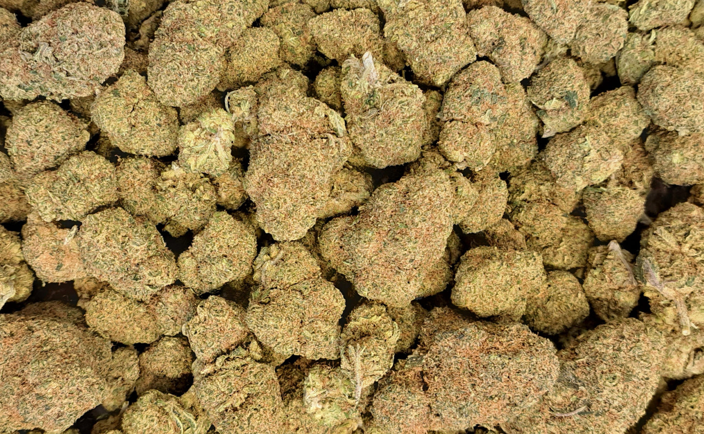 Mac Miracle Alien Cookies CBD - Salvia la pepite verte