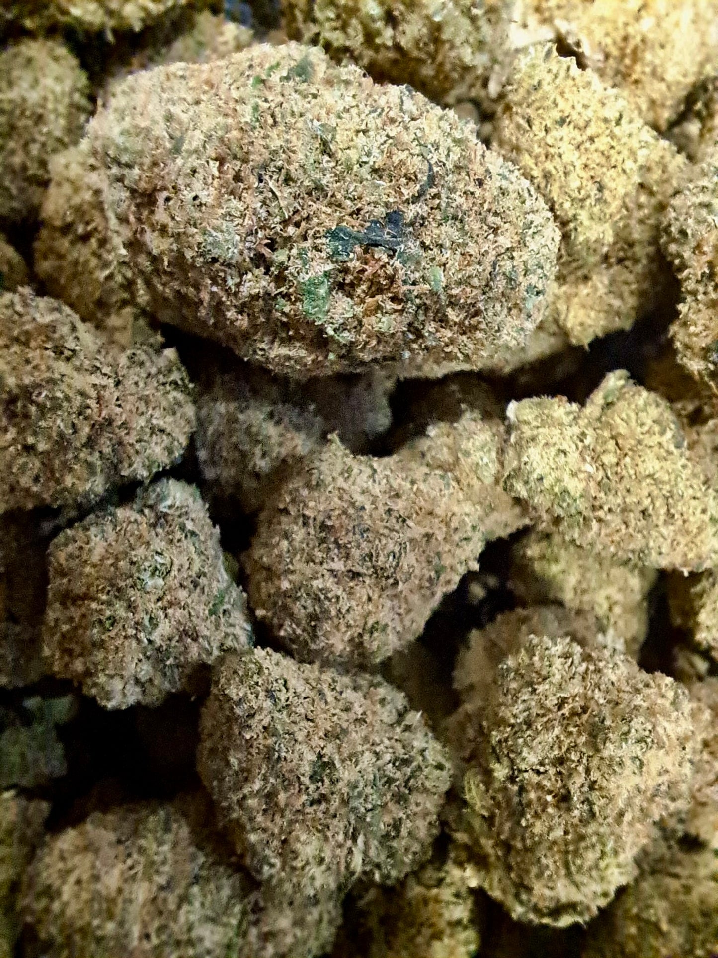 Mac Miracle Alien Cookies CBD - Salvia la pepite verte