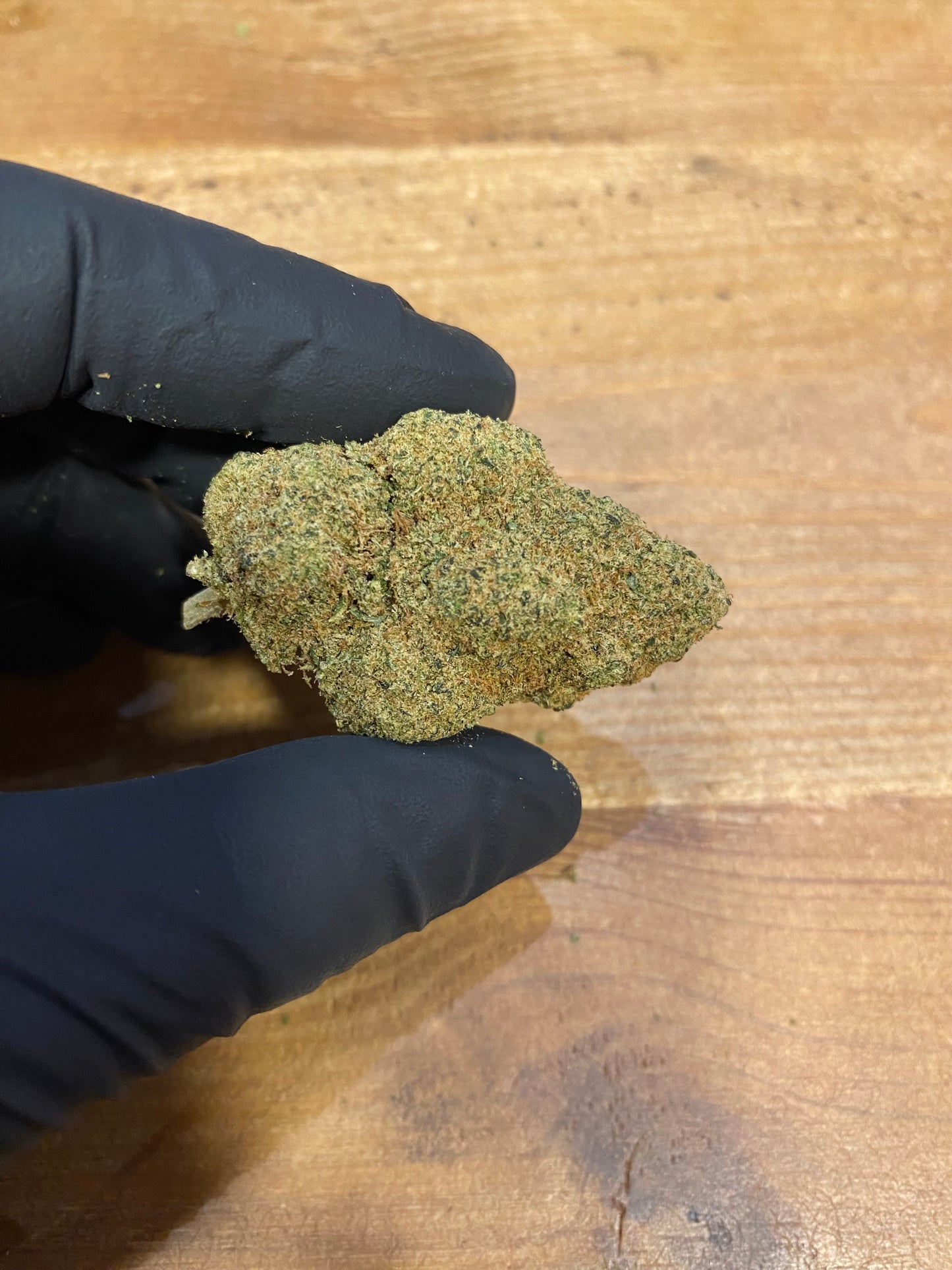 CBD Miracle Alien Cookies - Salvia la pépite verte