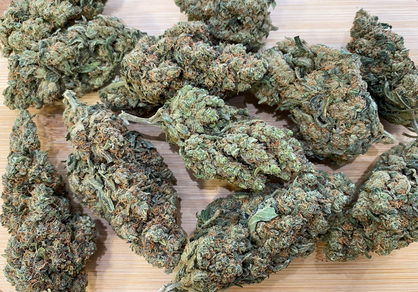 CBD Moby Dick - Salvia la pépite verte