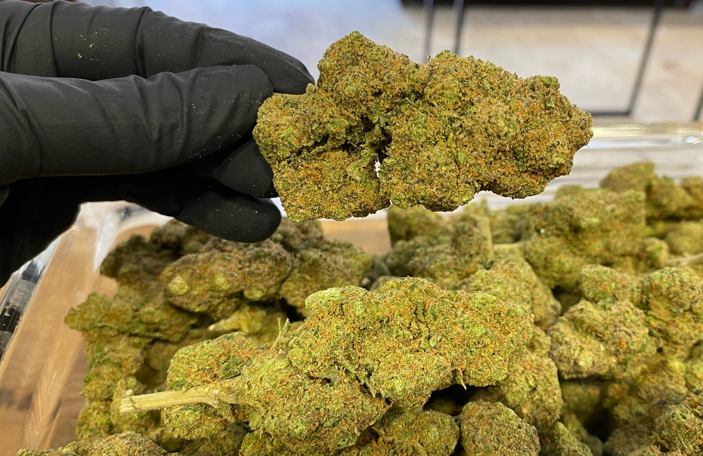 Pack découverte Fleurs CBD Premium - Salvia la pépite verte