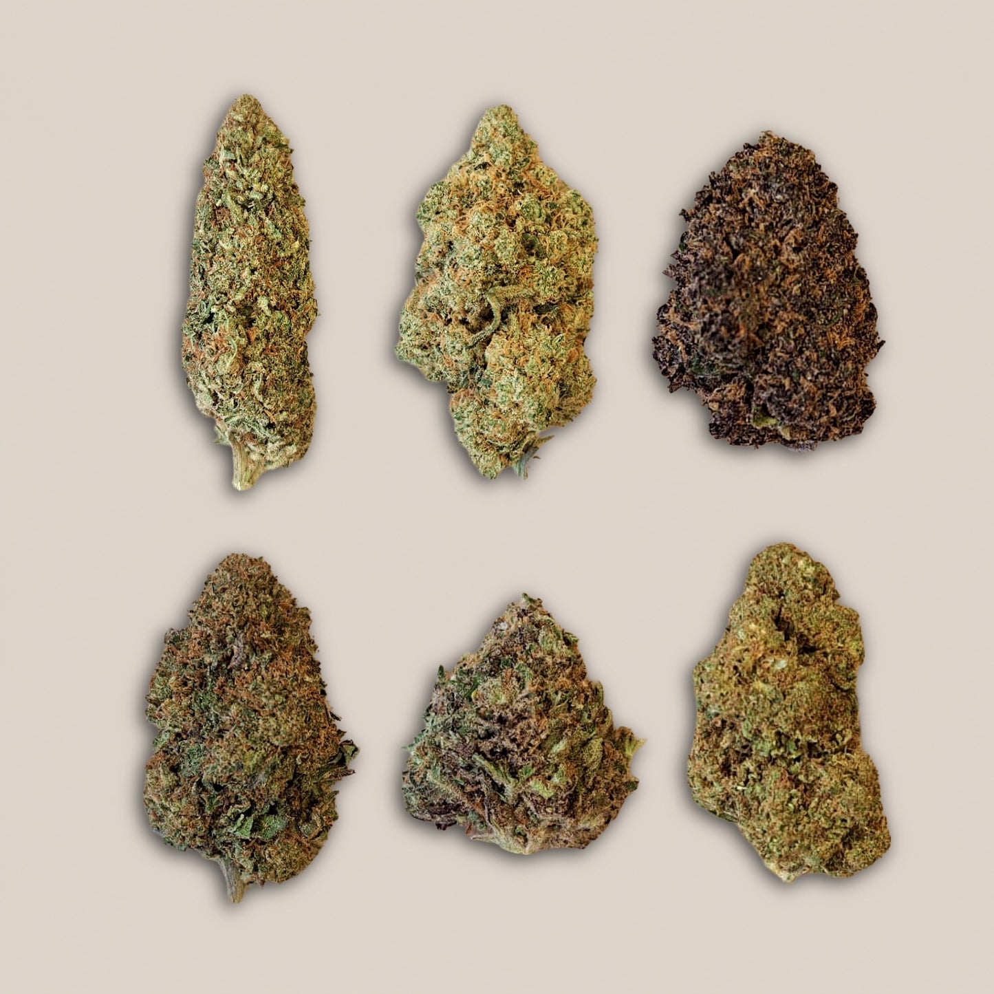Pack découverte Fleurs CBD Premium - Salvia la pépite verte