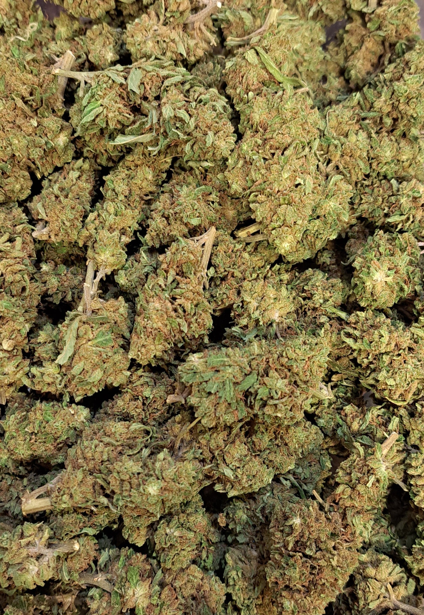 Remedy CBD - Salvia la pépite verte