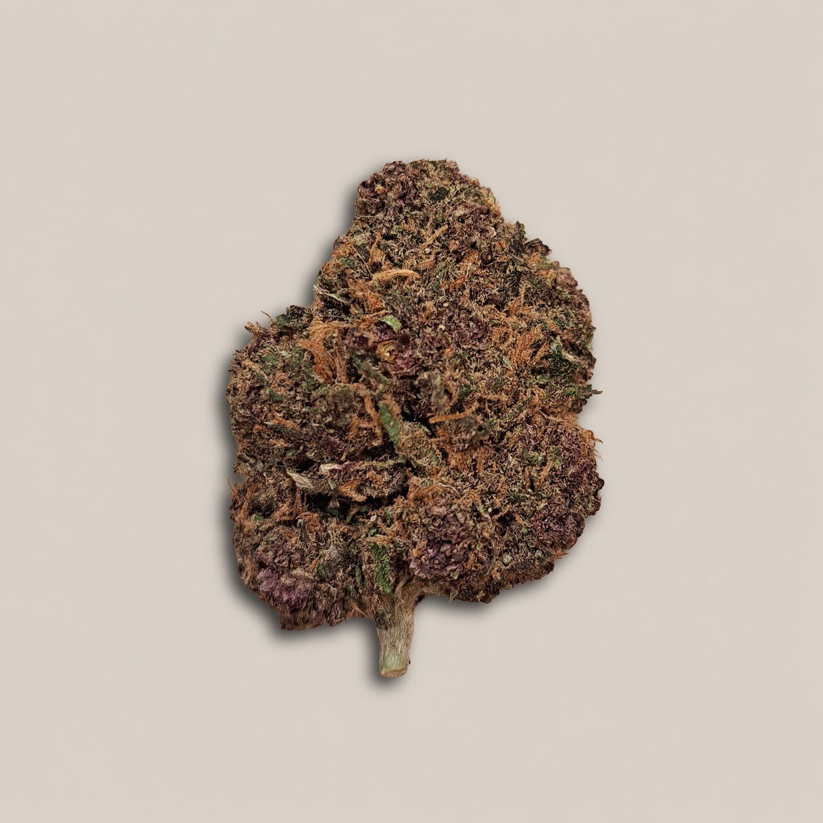 Royal Jelly - Premium - Salvia la pépite verte