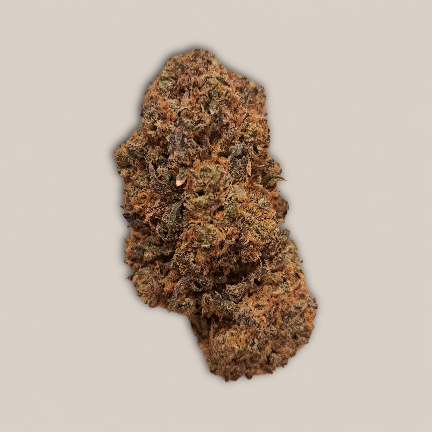 Skunk Jam - Premium - Salvia la pépite verte