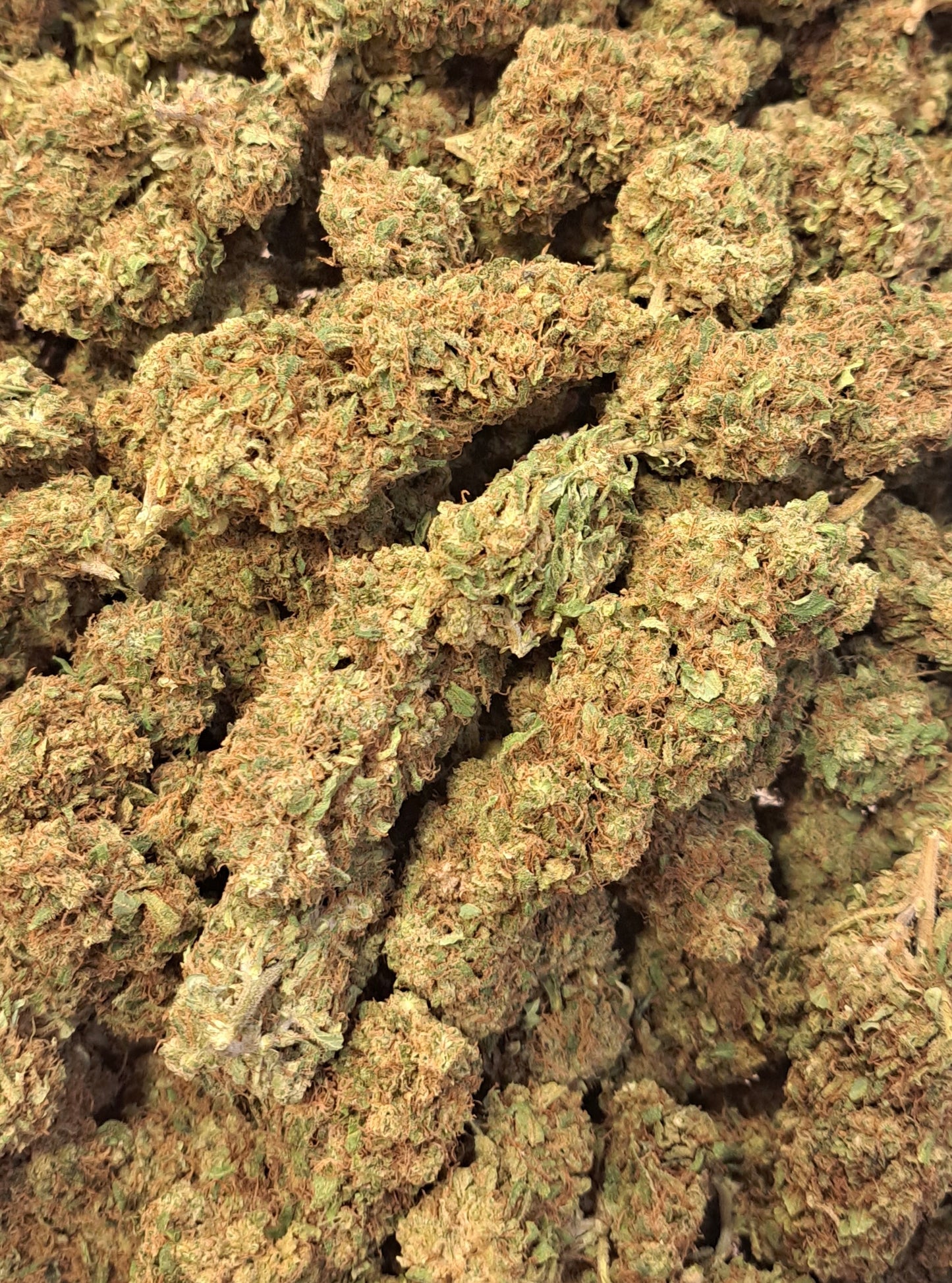 Turbo Diesel - Premium - Salvia la pepite verte