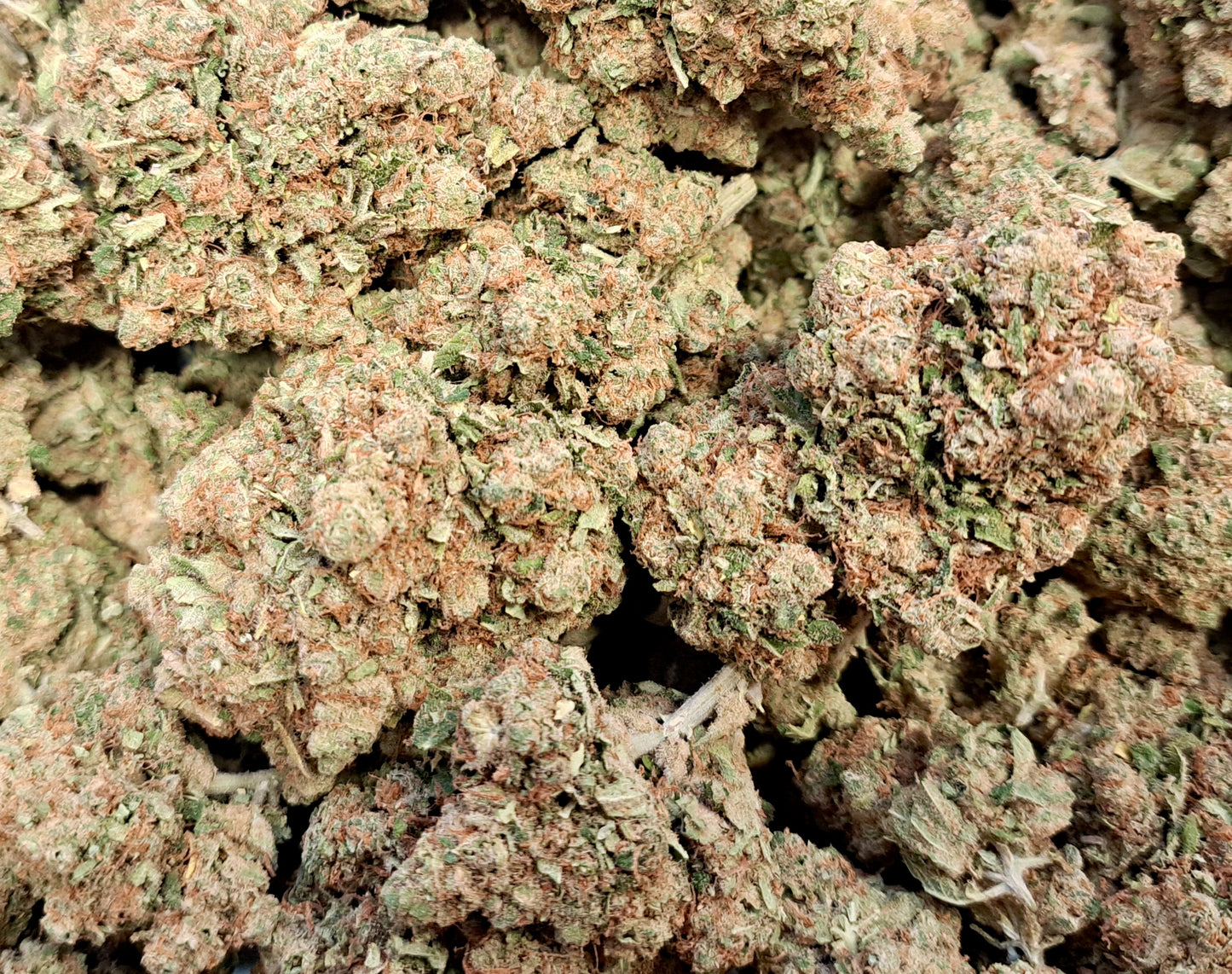 White Widow - Premium - Salvia la pépite verte