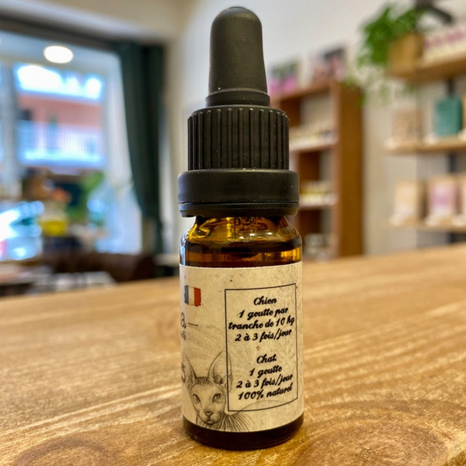 Huile CBD chat 10% - Salvialapepite