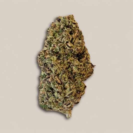 Alien Cookies - Premium - Salvia la pépite verte