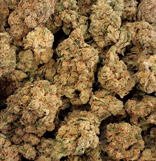 Amnesia 2.0 - Premium - Salvia la pépite verte