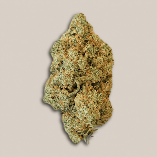 Amnesia 2.0 - Premium - Salvia la pépite verte