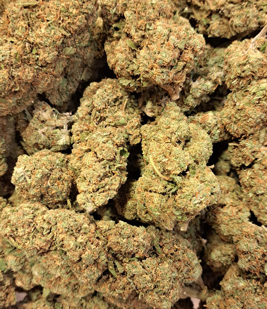 Banana Cream - Premium - Salvia la pépite verte