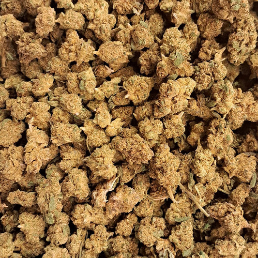 Biscotti - Small buds - Salvia la pépite verte