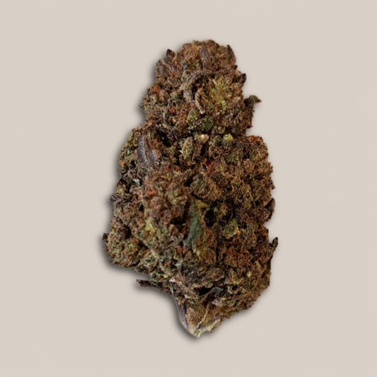 Black Mango - Premium - Salvia la pépite verte