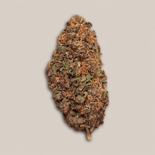 Blood Orange - Premium - Salvia la pépite verte