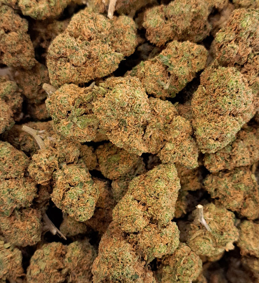 Blueberry 2.0 - Premium - Salvia la pépite verte