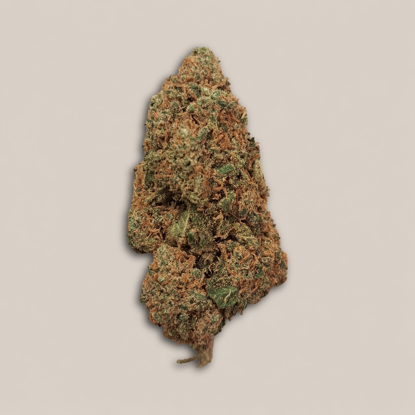 Blueberry x Zushi - Premium - Salvia la pépite verte