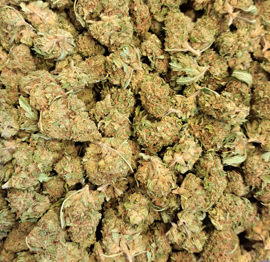 Bubbah Kush - Classique Living soil - Salvia la pépite verte