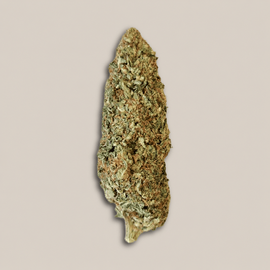 Bubble Mint - Premium - Salvia la pépite verte