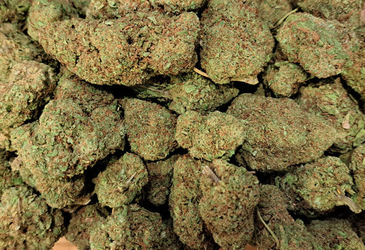 Cali Mango - Salvia la pepite verte