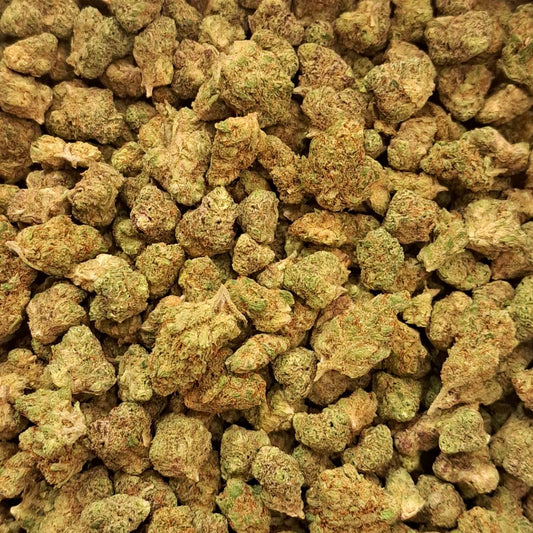 California Dream - Small buds - Salvia la pépite verte