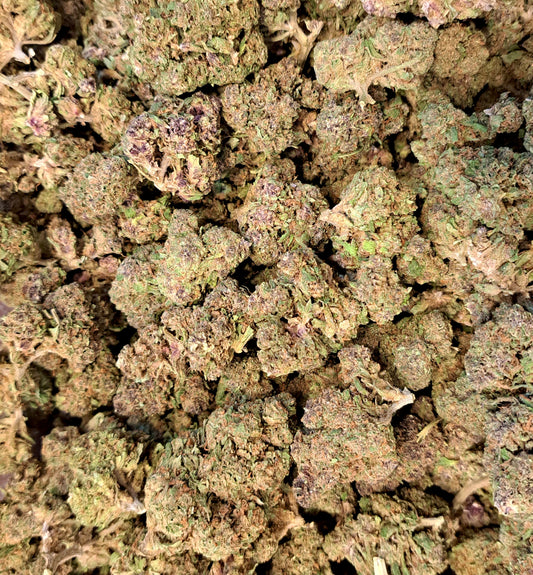 Candy Haze - Classique Living soil - Salvia la pépite verte