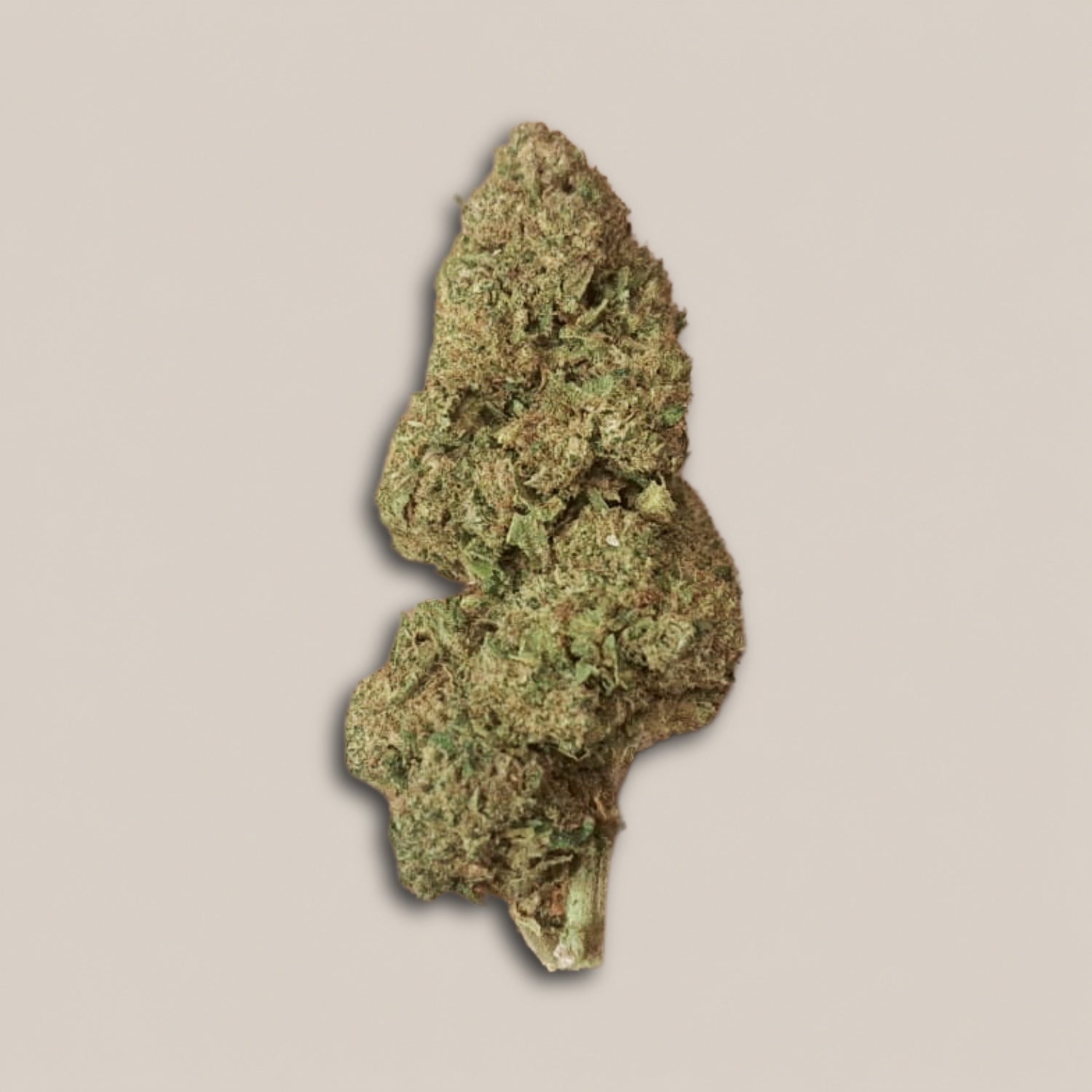 Candy Kush - Classique greenhouse - Salvia la pépite verte