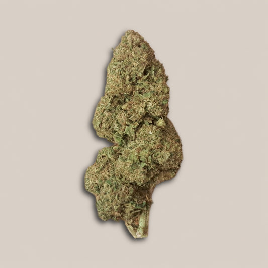Candy Kush - Classique greenhouse - Salvia la pépite verte