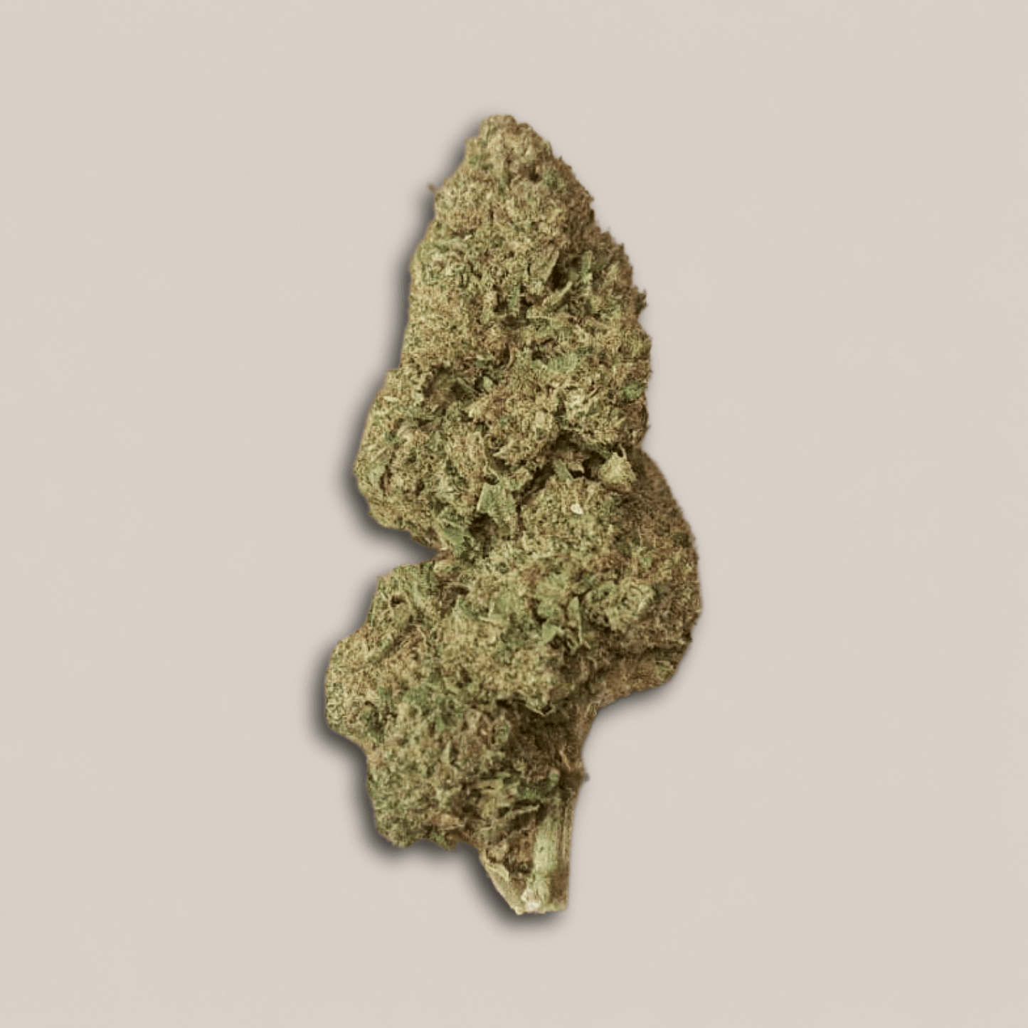 Candy Kush - Classique greenhouse - Salvia la pépite verte