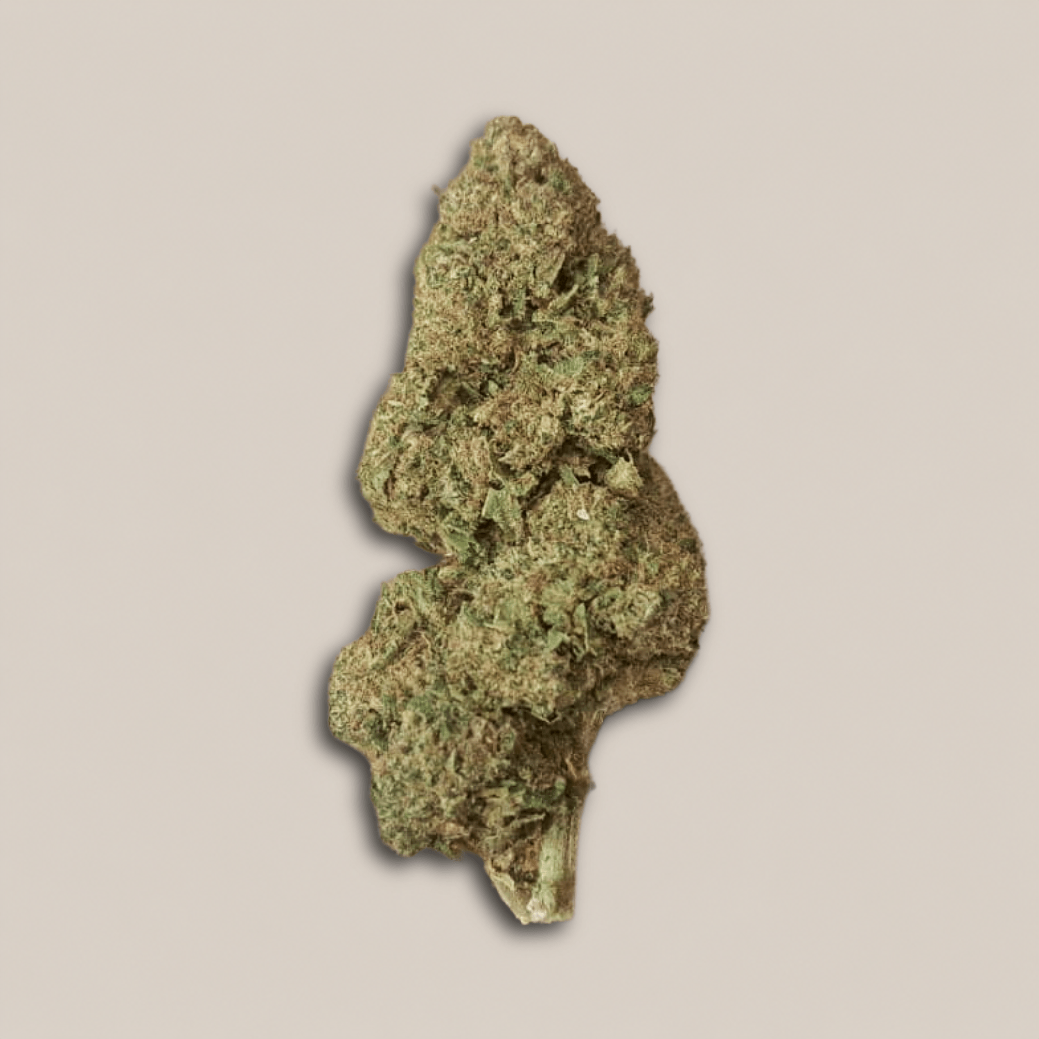 Candy Kush - Classique greenhouse - Salvia la pépite verte