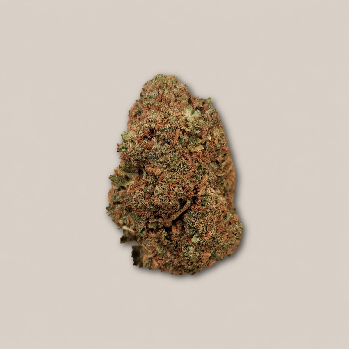 Candy Melon - Classique glasshouse - Salvia la pépite verte