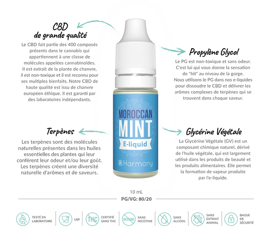 E-liquide CBD 600 mg - Morrocan Mint - Salvia la pépite verte
