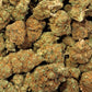 Gorilla Mandarina - Premium - Salvia la pépite verte