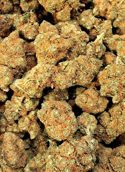 Gorilla Mandarina - Premium - Salvia la pépite verte