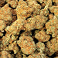 Gorilla Mandarina - Premium - Salvia la pépite verte