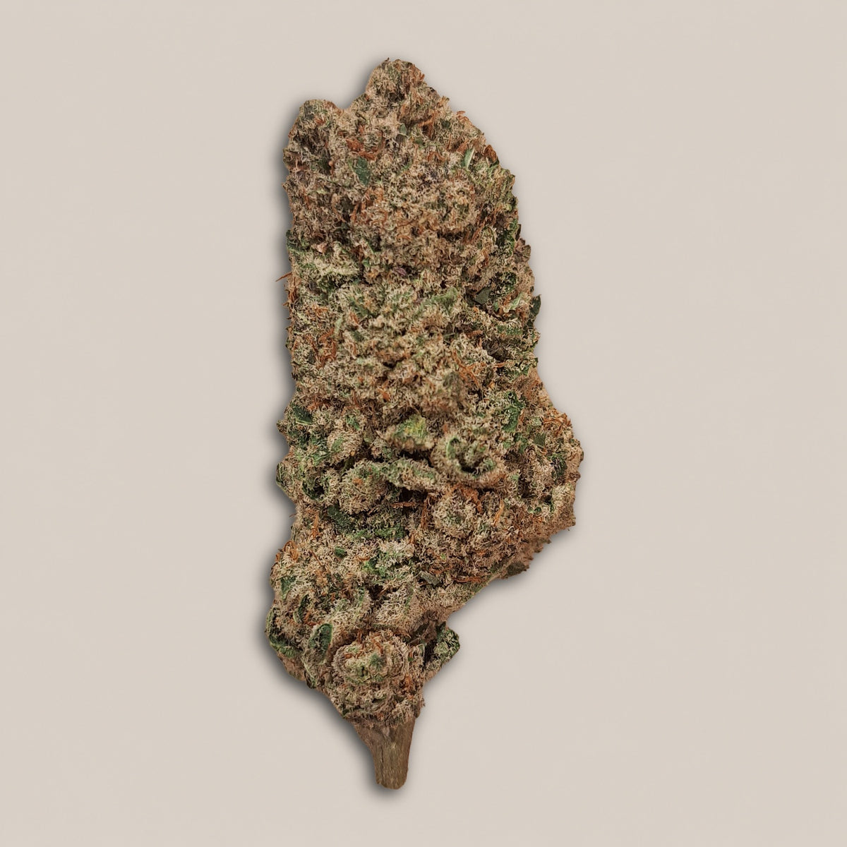 Kush Cake - Premium - Salvia la pépite verte