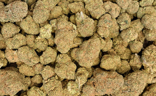 Mac Miracle Alien Cookies CBD - Salvia la pepite verte