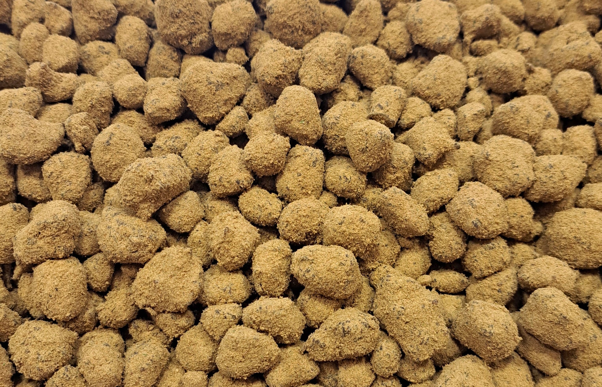Moonrock CBD - Salvia la pépite verte